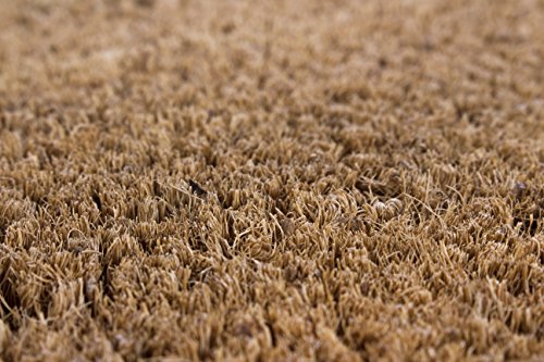 Andiamo Zerbino, Tela, Beige, 40 x 60 cm