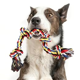 QDAN Dog Rope Toys for Aggressive Chewers, Indestructible Dog Toy, Tough Cotton Chew Toy for Medium Large Dogs