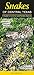 Snakes of Central Texas: A Guide to Common & Notable Species (Quick Reference Guides)