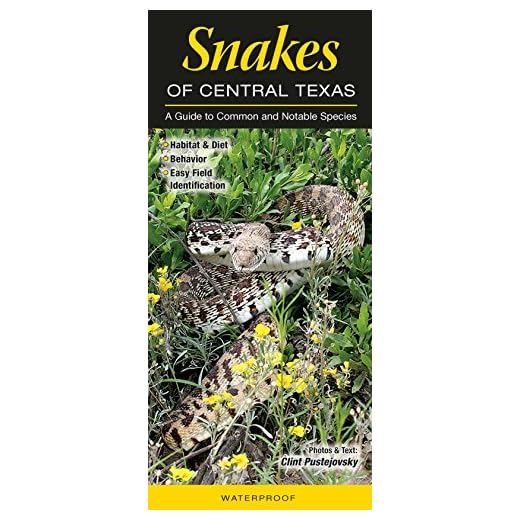 Snakes of Central Texas: A Guide to Common & Notable Species (Quick Reference Guides)