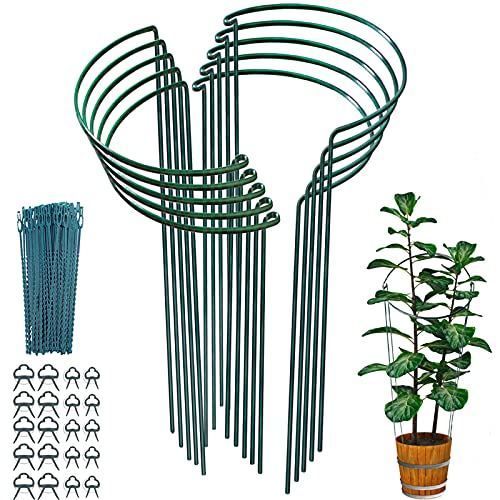 Lot de 10 60cm Haute Tuteurs Pour Plantes, 25 cm de Diamètre Piquets Verts Demi-Ronds Support Pour Plantes Support Plante,Aidez Vos Plantes à Pousser - Anneau de Support de Plante Pieux à Hortensias