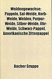 Weidengewächse. Pappeln, Sal-Weide, Korb-Weide, Weiden, Purpur-Weide, Silber-Weide, Ohr-Weide, Schwarz-Pappel, Amerikanische Zitterpappeln