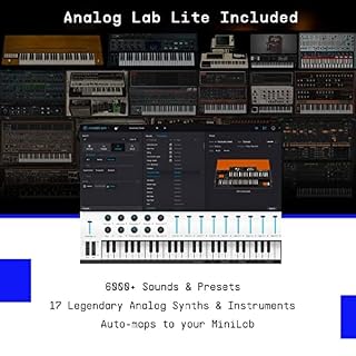 Arturia Clavier contrôleur MiniLab MkII – 25. Promotion spéciale d’une durée limitée. Comprend Mini V, Stage 73 V et Rev… - Les Beatles, Paul McCartney, John Lennon, RIngo Starr, George Harrison Arturia Clavier contrôleur MiniLab MkII - 25. Promotion spéciale d'une durée limitée. Comprend Mini V, Stage 73 V et Rev… – Image 6