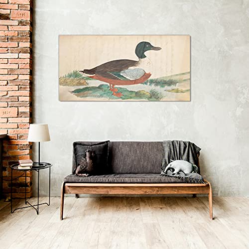Impression sur verre acrylique premium au format 100x50cm d'oiseaux - 4
