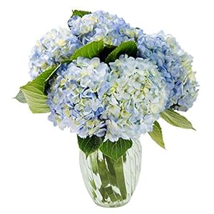 KaBloom Flowers – Beauty Bouq...