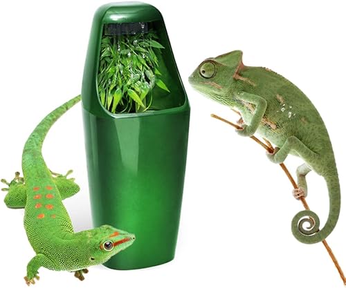 Dispensador de agua para reptiles, fuente automática para beber, circulación de agua, alimentador de agua para reptiles, velocidad de flujo de agua