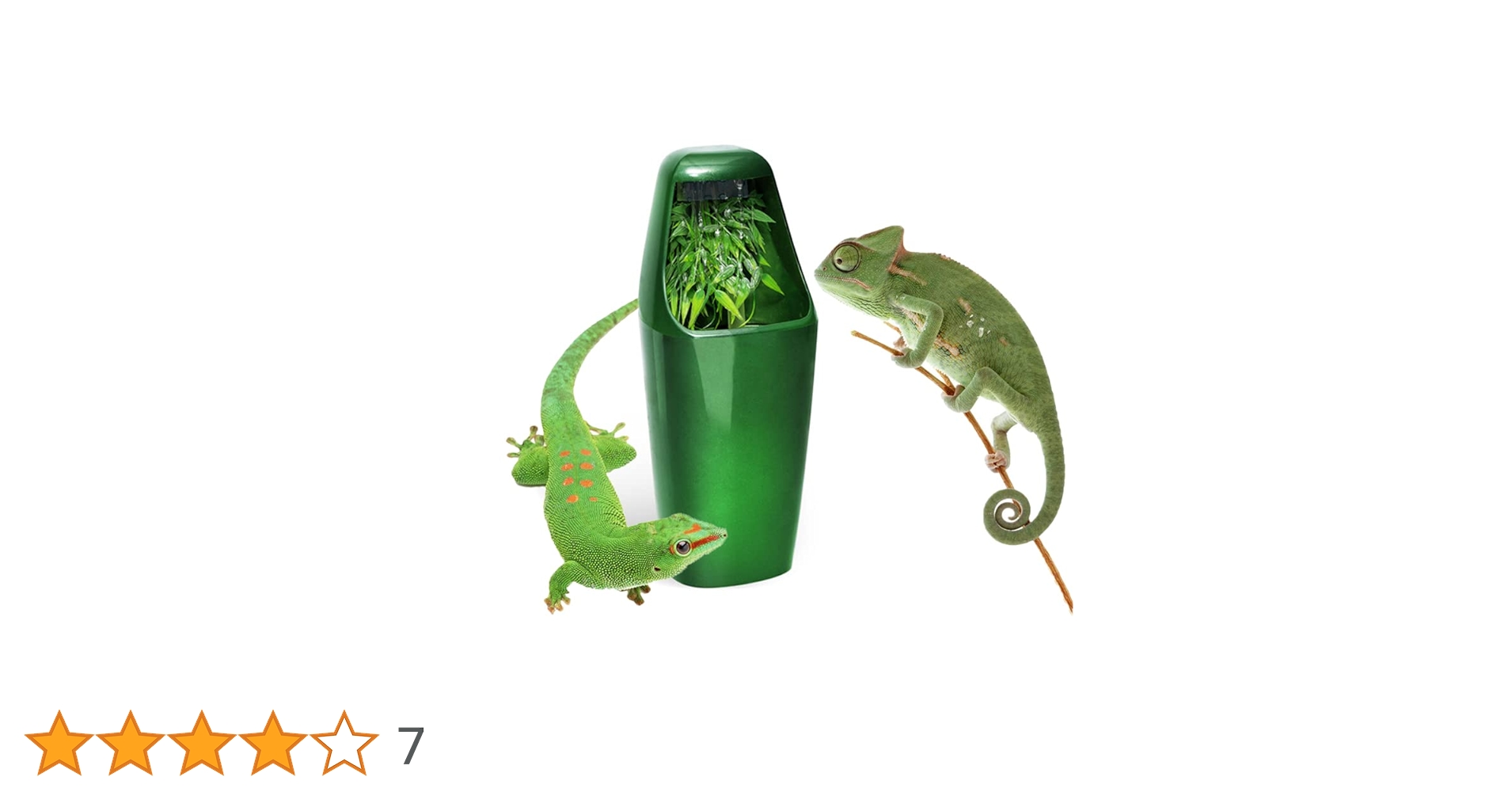 ゆきんこ 爬虫類リクエスト品 ゆきんこ 爬虫類リクエスト品 昴～@爬虫類🐍🦎 (@wanted_to_pet) / X