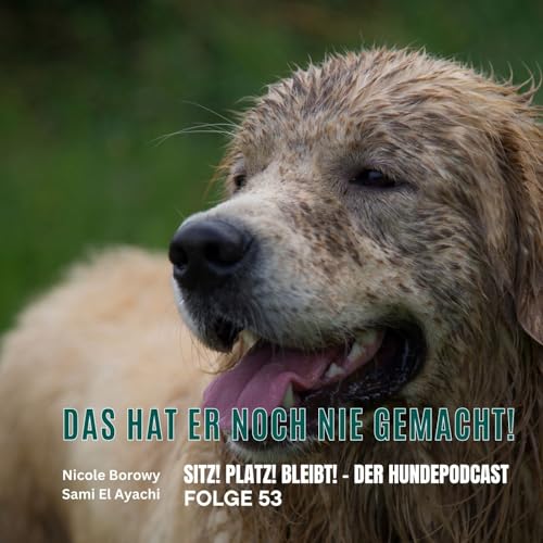 #53 Das hat er noch nie gemacht - was du jetzt wirklich tun solltest!