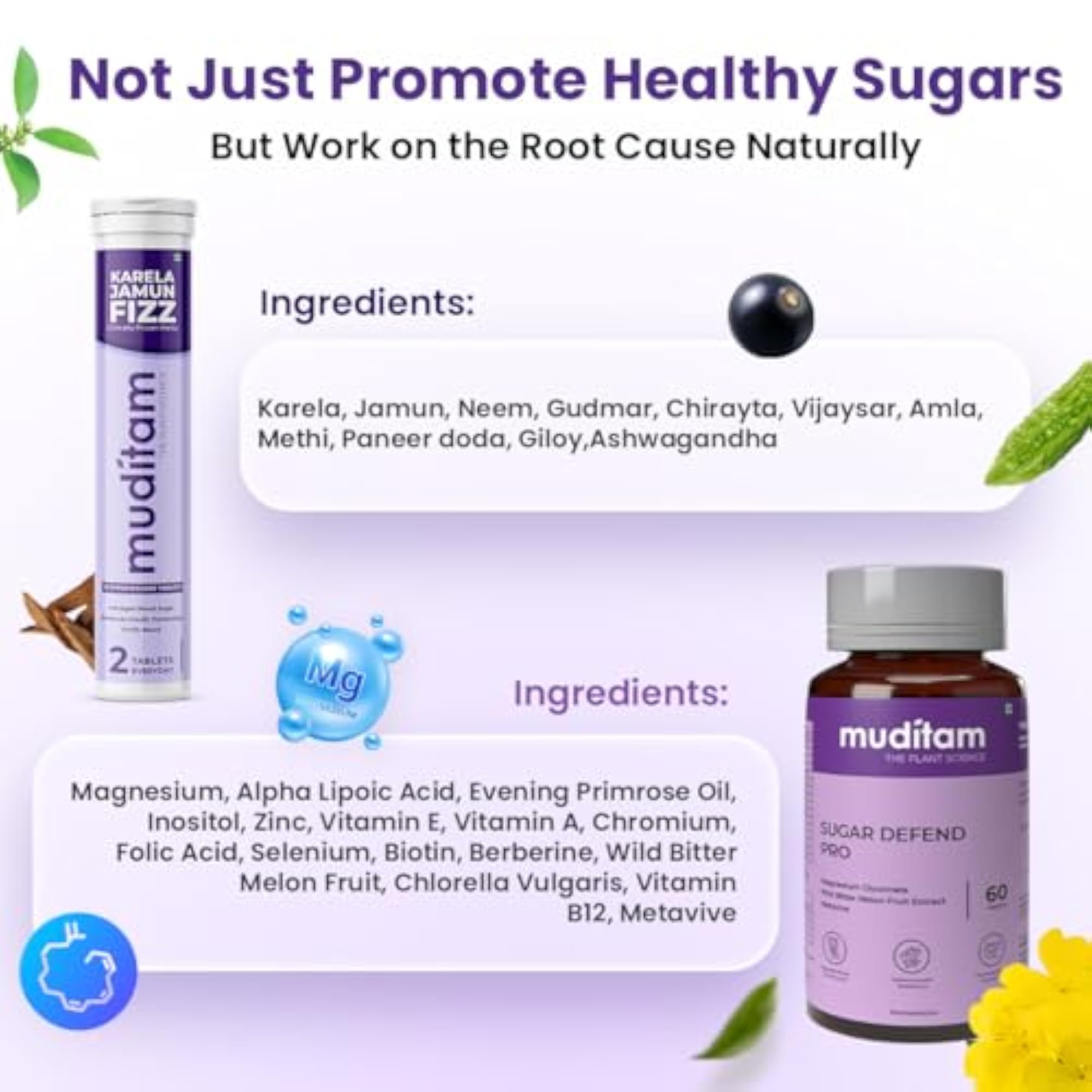 Muditam Ayurveda Sugar Management Kit