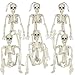 Produktbild Halloween Skelett, 6-Pack 16" Ganzkörper Mini Skelett mit beweglichen Posable Gelenken, Gruseliges Skelett für Yard Garten Rasen Haunted House Friedhof Requisiten Dekor