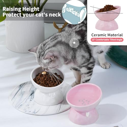 5 Inch Tilted Raised Cat Bowls, Ceramic Elevated Pet Food Water Bowl Set by OMAYKEY - Image 4