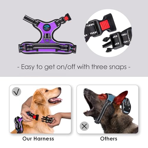 Image of PHOEPET Reflective Dog Harness Large Breed Adjustable No Pull Vest with Handle 2 Metal Rings 3 Buckles [Easy to Put on & Take Off](XL, Purple)