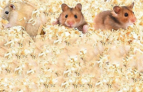 Chipsi-Classic-Wood-Shavings-BeddingLitter-for-All-Small-AnimalsSuitable-for-Hamster-Rabbit-Guinea-Pigs-1-Kg