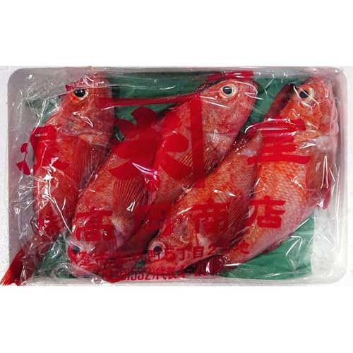 [北海道根室市] [年内配送品(12/21決済分まで)] 北海道根室市産 鮮キチジ(めんめ、キンキ) D-52001[配送月(年明け含む)の指定は不可]