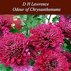 『Odour of Chrysanthemums』のカバーアート