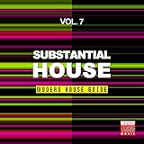  Substantial House, Vol. 7 (Modern House Guide)