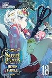Sleepy Princess in the Demon Castle, Vol. 18