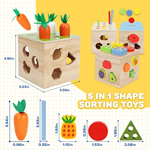 Toy Life 5 In 1 Toddler Wooden Montessori Toys, Toddlers Object Performance Box Shape Sorting Toys Fine Motor Skill Game, Toddler Carrots Harvest Game Educational Learning Toys Boy&Girl Birthday Gift #TOP5