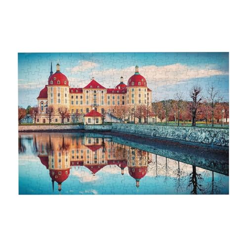 WO\[pY H̃[bcuN(hCc) 300s[X ؐpY ]`W DiỷƂ̑ ʃv[g yV sN`ApY 蕨 a LO j NX}X 300pcs