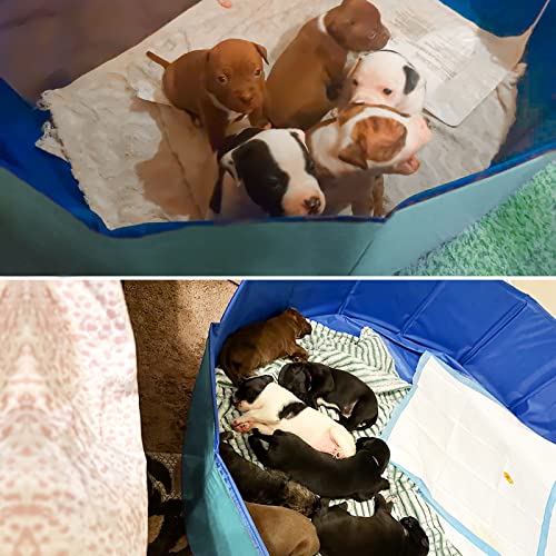 image for Artilife Whelping Box for Dogs Welp Box Whelping Pool,Puppy Whelping B