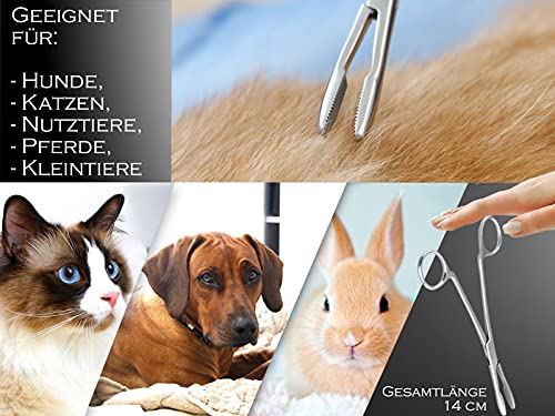 Zupfzange für Hundeohren Haarzange Hunde Haarzupfzange Tierhaar-Entferner Edelstahl Rostfrei mit Innenzahnung ohne Sperre in Profi-Qualität (14 cm)
