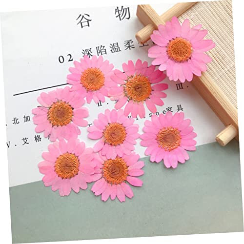 30 flores secas artesanales para decoración DIY miniatura 6