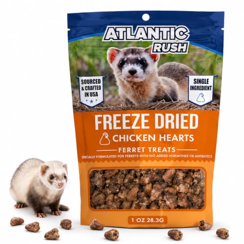 Freeze Dried Small Pet Treats - Resealable Bag of Treats for Ferrets - Ferret Snacks - Single Ingredient Ferret Food With No Preservatives Or Fillers- Small Animals Treats (1oz chicken Heart)