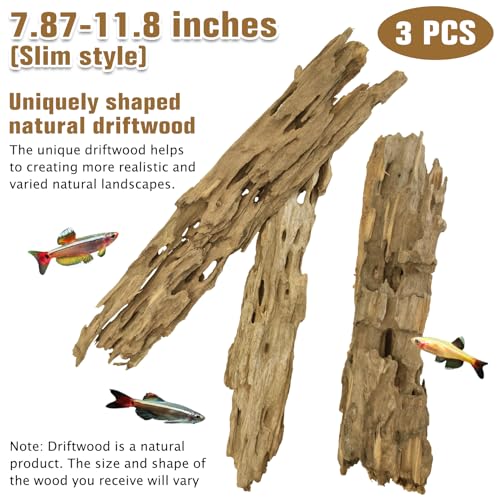 Image of PINVNBY Natural Driftwood for Aquarium Large Reptile Terrarium Decor Decorations Assorted Branches Dearded Dragon Tank Accessories (Slim Style: 7.87-11.8 inches /3 Pack)