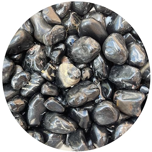 Image of GAF TREASURES 1 /2 LB Black Onyx Tumbled Stones, Polished Natural Black Onyx Gemstone, Black Onyx Healing Crystals (Black Onyx)