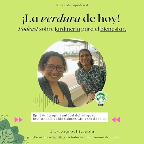 E. 39 - El sargazo se convierte en oportunidad