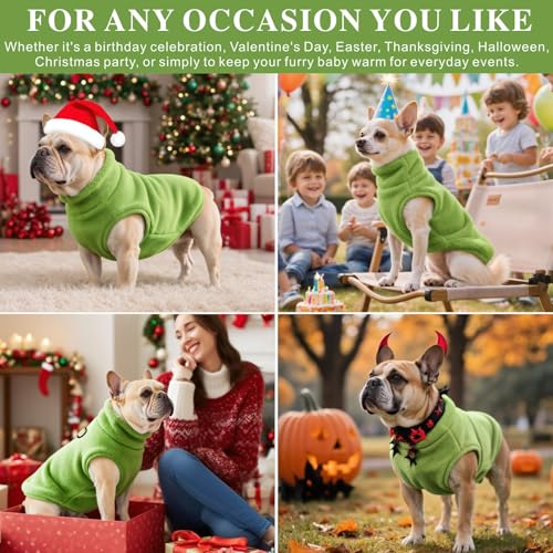 Oslueidy Hundemantel Fleece Hunde Jacken Hund warme Mäntel Winter Haustier Kleidung Hoodies Pullover Jumpsuit Hund Schnee Outfits Weste für kleine mittlere große Hunde XS-XXL (Grün, S)