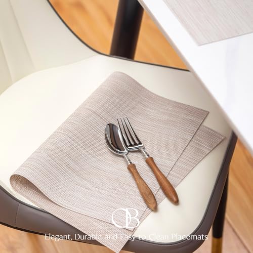 Image of Dining Placemats Set of 4 Beige