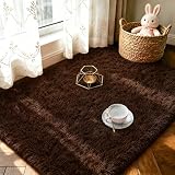 LOCHAS 2×3 Fluffy Rug