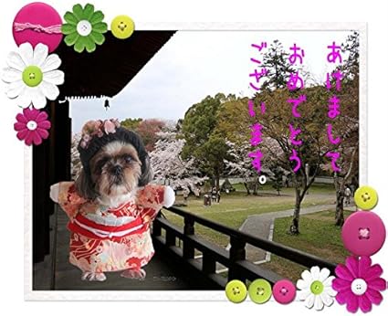 Amazon Co Jp 型紙 小型犬の2足歩行風コスプレ撮影用前掛けコスチューム13種類 作り方説明付き チワワみるちゃんサイズ首下19cm ペット用品