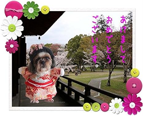 Amazon Co Jp 型紙 小型犬の2足歩行風コスプレ撮影用前掛けコスチューム13種類 作り方説明付き チワワみるちゃんサイズ首下19cm ペット用品