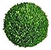 Mills Floral Company Boxwood Ball 8
