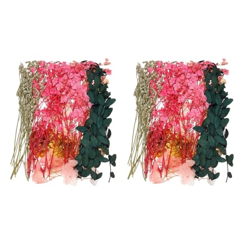 Set Natural de Flores Secas, 2 Unidades miniatura 1