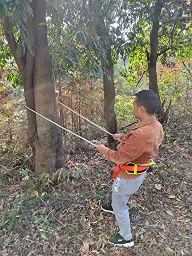 HUAWELL Arnés de soporte para árbol con arnés de telégrafo, arnés de seguridad, protección contra caídas, uso para árboles más grandes (más de 100/200/500/1000 años) Cover