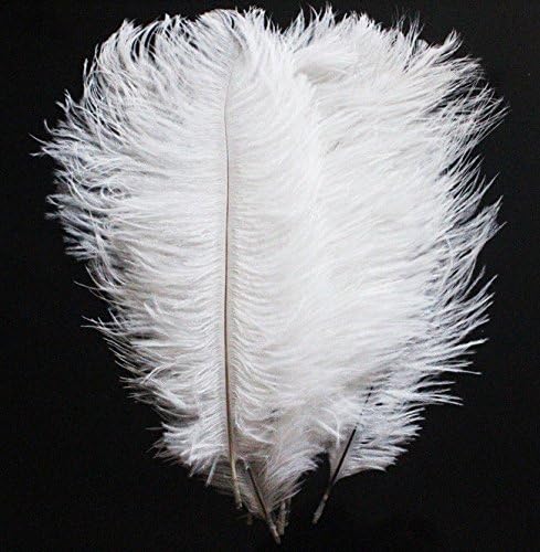 Pluma de avestruz blanca de 10 a 12 pulgadas, paquete de 100 unidades desde Nueva York