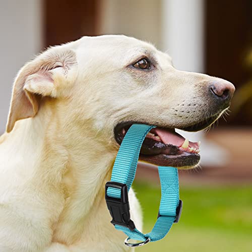 Buryeah 12 Pieces Dog Collar Bulk Puppy Collars Adjustable Nylon for Small Medium Dogs with Safety Buckle for Dogs Walking Running Training(Mixed Colors) - Image 7