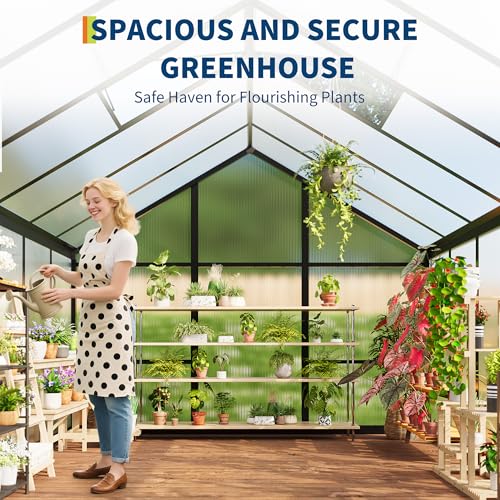 6x10 FT Greenhouse for Outdoors, Polycarbonate Greenhouse with Roof Vent, Ground Nails, Lockable Push Door, Aluminum Large Walk-in Green House for Outside Garden Backyard, Patio, Lawn, Black