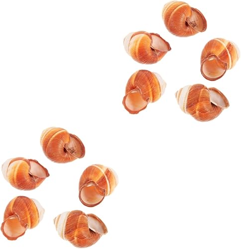 Unomor 2 unidades de caracol francés, conchas de caracol para restaurante, comida de caracol, hotel, conchas de caracol, extragrandes, conchas de