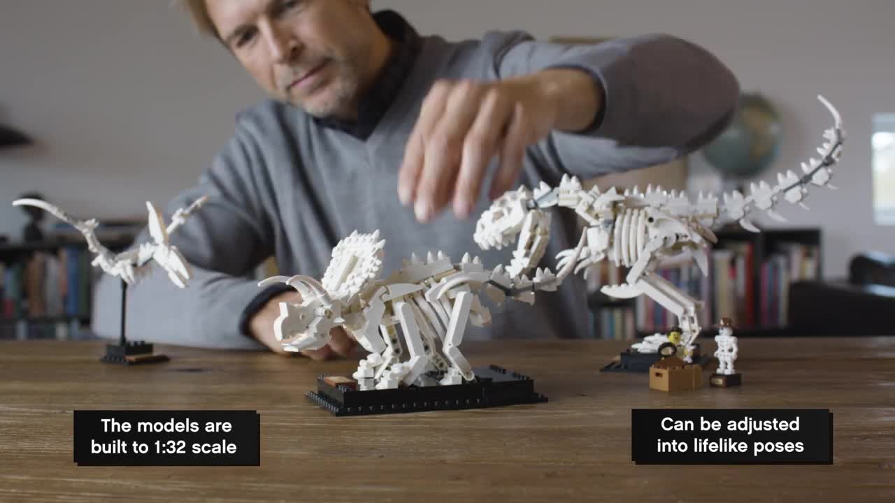 レゴ　化石　21320 レゴ 恐竜の化石 #21320 | ショップ brickle!