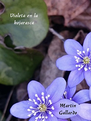 Violeta en la hojarasca: Leyenda postromántica para adultos inspirada en Las Islas Canarias (Spanish Edition)
