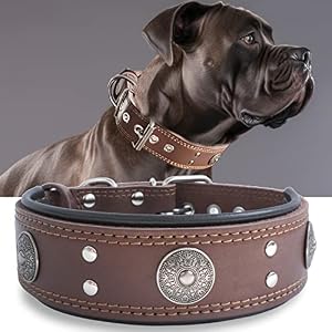 Hqshny Breites Leder Hundehalsband 49.5-60 cm