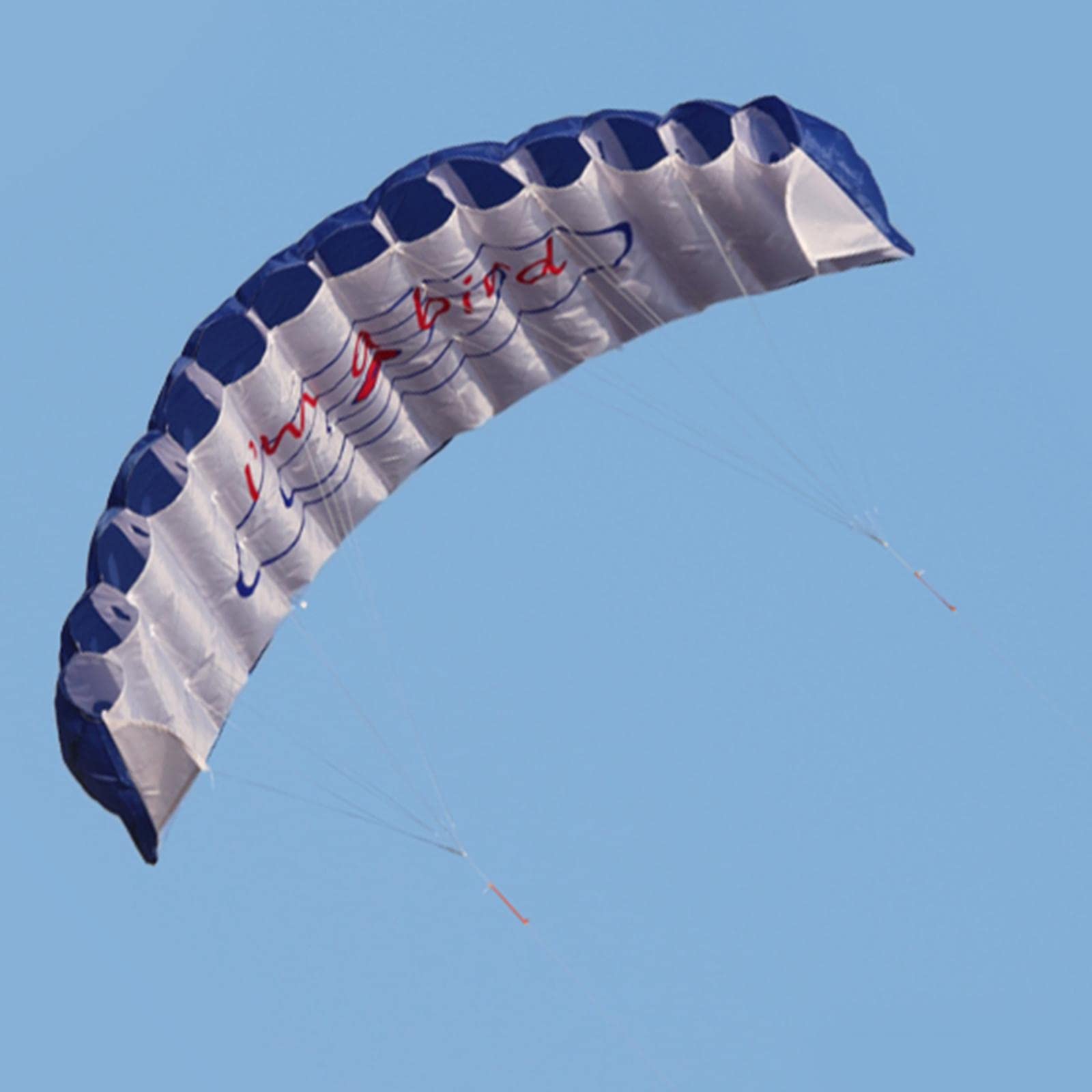 Dual Line Traction Kitesurfing Stunt Trainer Latawiec Parafoil Parachute Blue