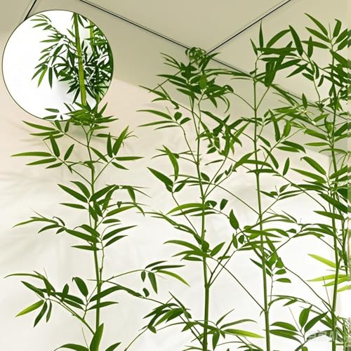 Wetsfgdg lH| |_tFX lHϗtA Ηt tFX p[eBV z[ ItBX x_ K[f i ՗ ؐ pl  yɎd؂ 뉀̌iρÅOǂȂǁA܂܂ȃViĨj[Yɉ܂180cm