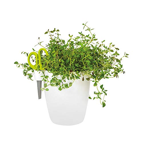 Preisvergleich Produktbild elho brussels kräuter single s Blumentopf - weiss