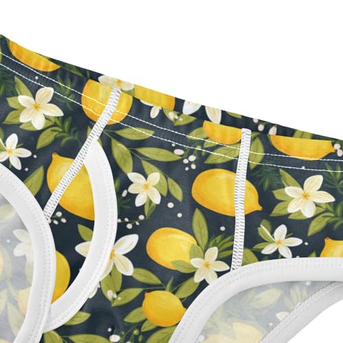 Boys' Exclusive Briefs Toddler Underwear 95% Combed Cotton Boxerbriefs 2T Lemon and Flower Pattern 724
