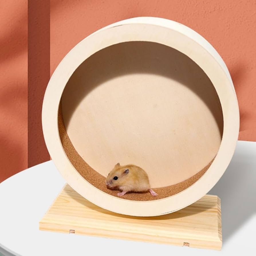 Amazon.co.jp: zjdgweh ハムスター回し車 サイレント ホイール